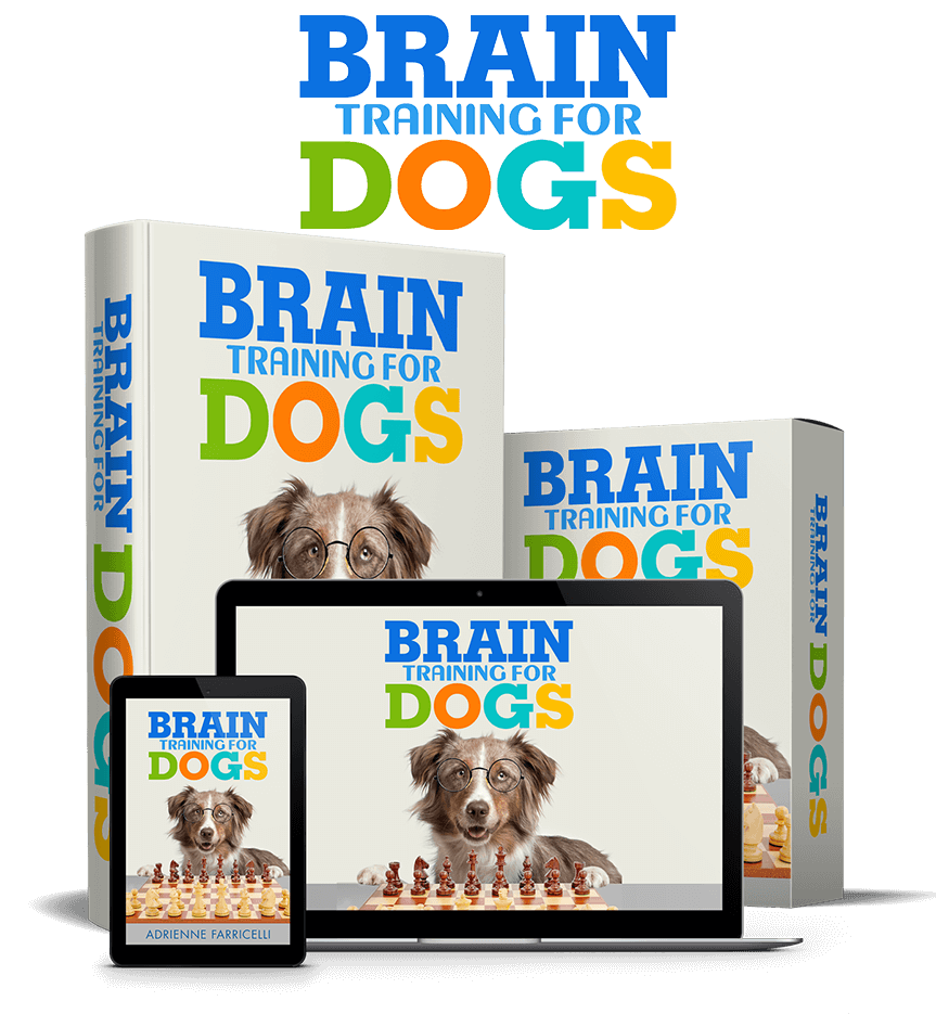 Brain Training for Dogs official product