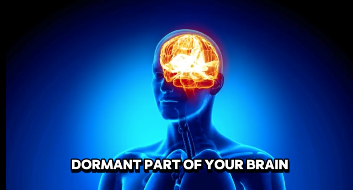 Shifting Vibrations review