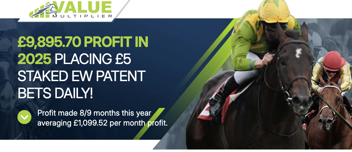 Value Multiplier review